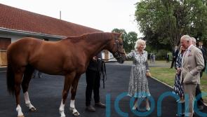 King and Queen feed polo mints to champion racehorse on visit to Newmarket