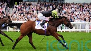 Fitzella fits the bill for Hugo Palmer in Princess Margaret