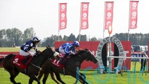 Naas triumph has Sky Majesty camp thinking big