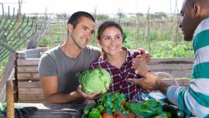 How to get the feel-good factor from an allotment