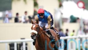 Humidity coming to the boil for hot-looking Vintage Stakes