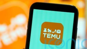 High risk for EU consumers of finding illegal products on Temu, EC reports