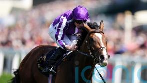Illinois expected to thrive over Goodwood Cup trip