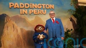 Canal+ flags smaller line-up of films in 2025 but hails Paddington hit