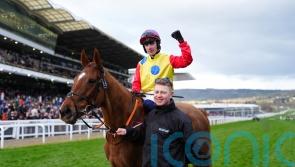 Collins confident Cobden is the right fit for Jazzy Matty