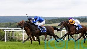 Zavateri defies penalty with Vintage performance