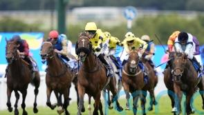 Westridge powers clear in Chesterfield Cup