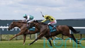 Pacemaker Qirat stuns Sussex Stakes big guns