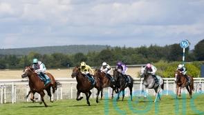 Gosdens lament Field Of Gold’s lacklustre Sussex run