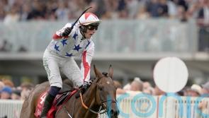 Western Fold storms to Galway Plate glory