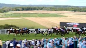 Five jockeys involved in light aircraft drama