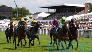 Davison eager for Nunthorpe challenge with She’s Quality