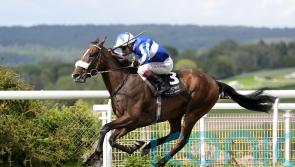 Fox too smart in Bentinck contest