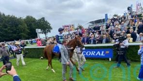 National assignment on the radar for Vintage hero Zavateri