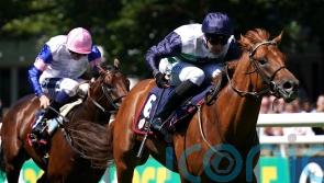 Jel Pepper among strong British contingent in Ballyhane Stakes