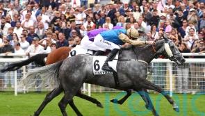 Fallen Angel a Group One winner again in Prix Rothschild