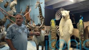 ‘The Stuffa’ taxidermist: I’ve ‘thrown chickens’ between Angelina Jolie’s legs on set and made a roller-skating alpaca