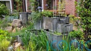 Garden opens to promote natural measures that boost flood resilience