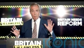 Police should release immigration information about charged suspects – Farage