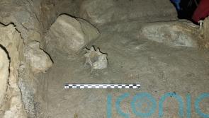 Cave discovery reveals oldest community of animals living in European Arctic