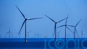 Renewables generate half of UK’s electricity in 2024 in new record high