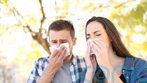 What is RSV? And how to protect yourself