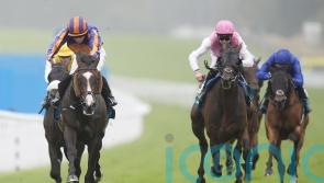 Scandinavia and Lambourn lead 26 St Leger hopefuls