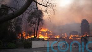 Hiscox profits fall after £128m claims hit from LA wildfires
