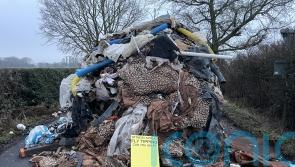 Businessman to stand trial over dumping of 27 tonnes of waste in rural lane