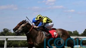 Staya firmly on course for Lowther test
