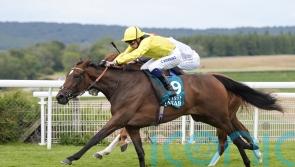 Waardah far from certain to go to York
