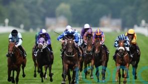 Options home and abroad for promising filly Awaken