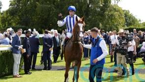 Return to Goodwood possible for Seagulls Eleven