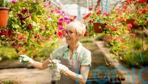 10 ways gardening can enhance your wellbeing