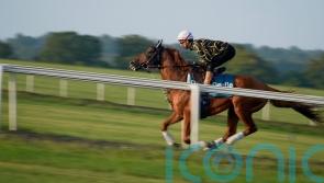 International challenger Danon Decile enjoys gallops spin