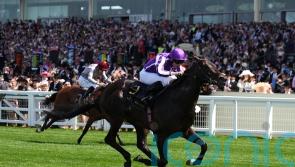 Gstaad ruled out of Phoenix clash