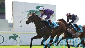 Bucanero Fuerte fends them all off at the Curragh