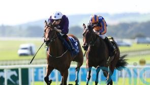Power Blue downs True Love in Phoenix shock