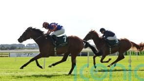 Diamond Necklace sparkles on debut for O’Brien