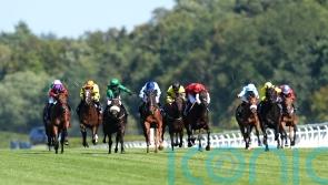Maureen Haggas urges improvement in Shergar Cup jockeys