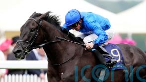 Rebel’s Romance and Loughnane rock in Germany