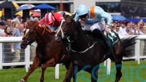 Half Million bid on the horizon for Anthelia
