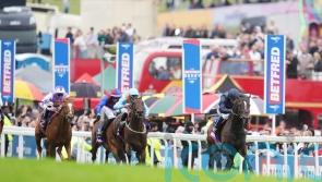 Middleham Park happy to be heading straight to Doncaster with Lazy Griff