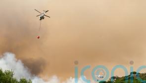 Thousands evacuated as wildfires rage across Spain during scorching heat wave