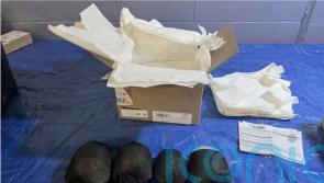 Man admits trying to smuggle 850 protected turtles worth &pound;1 million to Hong Kong