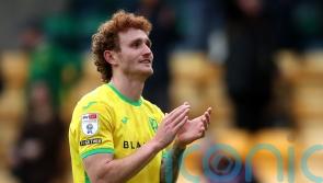Josh Sargent and Marcelino Nunez on target as Norwich knock Watford out of cup