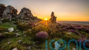 Rare upland landscapes on English-Welsh border protected with expanded reserve