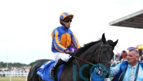 Eclipse injury forces Camille Pissarro retirement