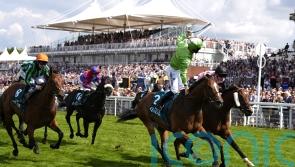 Jm Jungle pleases in final gallop ahead of Nunthorpe