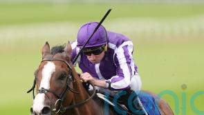 Diego Velazquez sold ahead of Jacques le Marois start